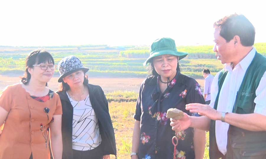  Phó Chủ tịch UBND tỉnh Huỳnh Nữ Thu Hà thăm và làm việc tại di tích Rộc Tưng. Ảnh: Thế Huynh