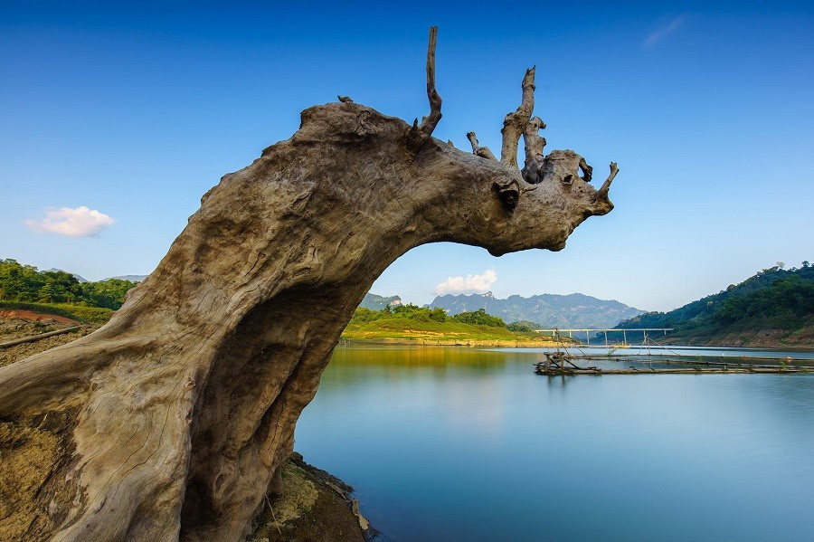 Dòng sông Năng đoạn chảy vào lòng hồ, xa xa là chiếc cầu Đà Vị. Dòng sông Năng đoạn chảy vào lòng hồ, xa xa là chiếc cầu Đà Vị.