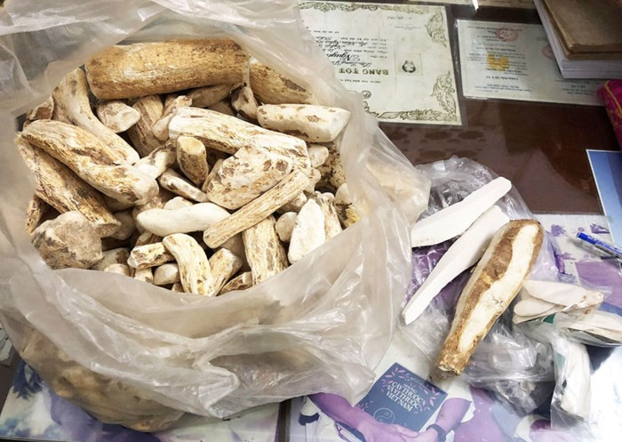 Hoài sơn thật (trái) và hoài sơn giả