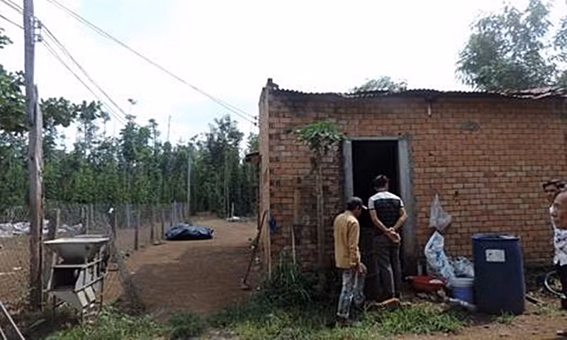 Mặt trước và mặt sau căn chòi trong rẫy tiêu nơi xảy ra án mạng. Mặt trước và mặt sau căn chòi trong rẫy tiêu nơi xảy ra án mạng.