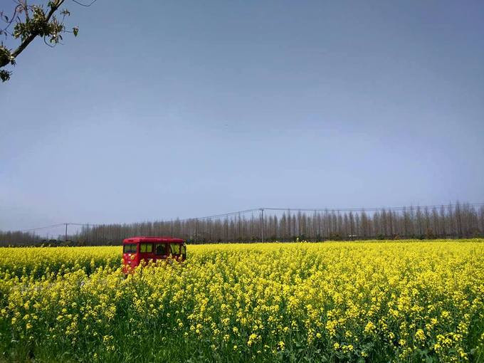 Ngoài ra, từ Thượng Hải đi đến các thành phố lân cận như Tô Châu, Hàng Châu, Vô Tích, Nam Kinh… đều không tốn nhiều thời gian. Mùa xuân đến Thượng Hải thưởng hoa là sự lựa chọn thú vị, nhất là nếu bạn đi du lịch vào đúng thời gian hoa anh đào khoe sắc. Ngoài ra, từ Thượng Hải đi đến các thành phố lân cận như Tô Châu, Hàng Châu, Vô Tích, Nam Kinh… đều không tốn nhiều thời gian. Mùa xuân đến Thượng Hải thưởng hoa là sự lựa chọn thú vị, nhất là nếu bạn đi du lịch vào đúng thời gian hoa anh đào khoe sắc.