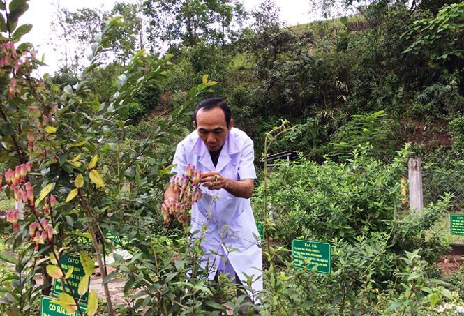 Chăm sóc vườn thuốc nam hằng ngày tại Trạm Y tế xã A Vao là niềm vui của bác sĩ Trịnh Đức Thiện. Chăm sóc vườn thuốc nam hằng ngày tại Trạm Y tế xã A Vao là niềm vui của bác sĩ Trịnh Đức Thiện.