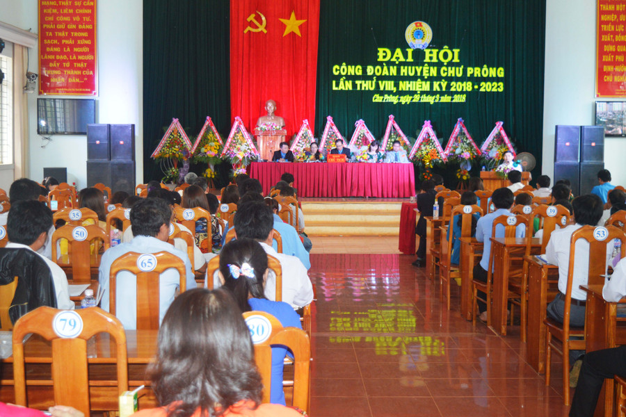 Toàn cảnh đại hội. Ảnh: Đ.Y Toàn cảnh đại hội. Ảnh: Đ.Y
