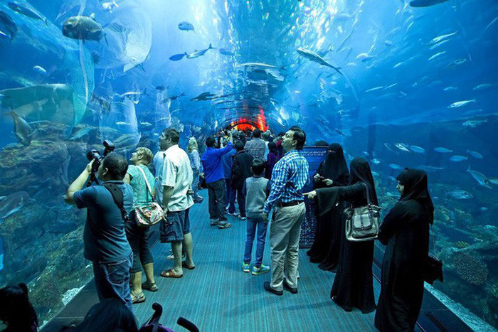 Thủy cung Aquarium ở Dubai Thủy cung Aquarium ở Dubai