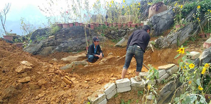Bởi vậy, anh Sơn phải thuê người dân tộc phát cỏ dại, gùi đất lên đồi, đổ vào từng hốc đá, làm bậc thang đá dẫn lên vườn.  Bởi vậy, anh Sơn phải thuê người dân tộc phát cỏ dại, gùi đất lên đồi, đổ vào từng hốc đá, làm bậc thang đá dẫn lên vườn.