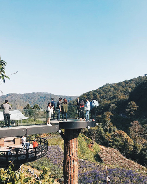 Khu vực này có một đài quan sát trên cao với lan can kính được thiết kế vươn về phía vườn hoa. Từ đây, bạn sẽ dễ dàng ngắm nhìn hoa hơn. Đây cũng là nơi giúp bạn có 