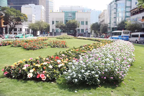 Công viên hoa tươi hình thành sau công tác xử lý lấn chiếm vỉa hè, lòng lề đường của ông Đoàn Ngọc Hải Công viên hoa tươi hình thành sau công tác xử lý lấn chiếm vỉa hè, lòng lề đường của ông Đoàn Ngọc Hải