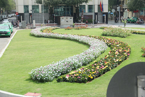  Hoa tươi được trồng cách điệu theo hình chữ S 
