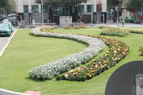  Hoa tươi được trồng cách điệu theo hình chữ S 