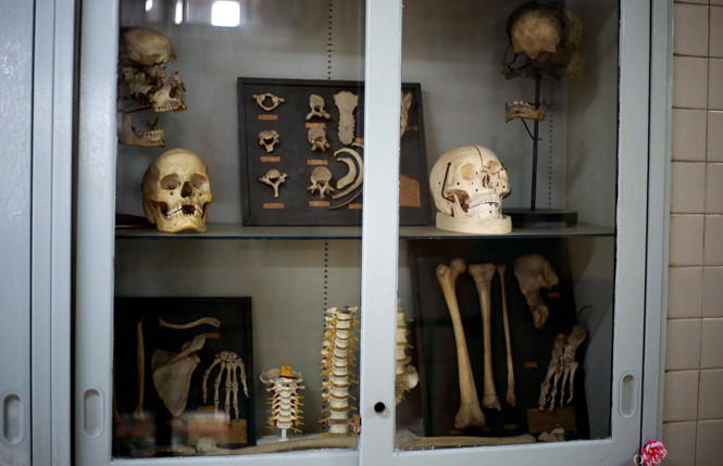 Ngoài việc lưu trữ xác chết, ở đây còn lưu giữ các bộ phần xương người để cho sinh viên Y khoa học tập.