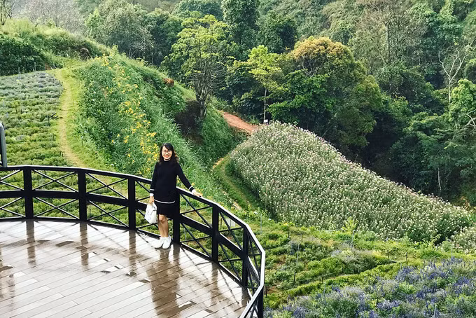 Ngoài tham quan vườn hoa, bạn có thể trải nghiệm không gian quán cà phê nhà lồng. Thực đơn quán phục vụ hơn 100 món nước. Nguyên liệu chế biến đa số từ trái cây tươi Đà Lạt như nha đam, dâu tằm, dâu tây, chanh dây... Ngoài ra, thực đơn còn có các món ăn nhẹ như gà nướng, pizza, khoai tây chiên... Giá từ 20.000 đồng một món nước. Ảnh: Hoang Phuong.