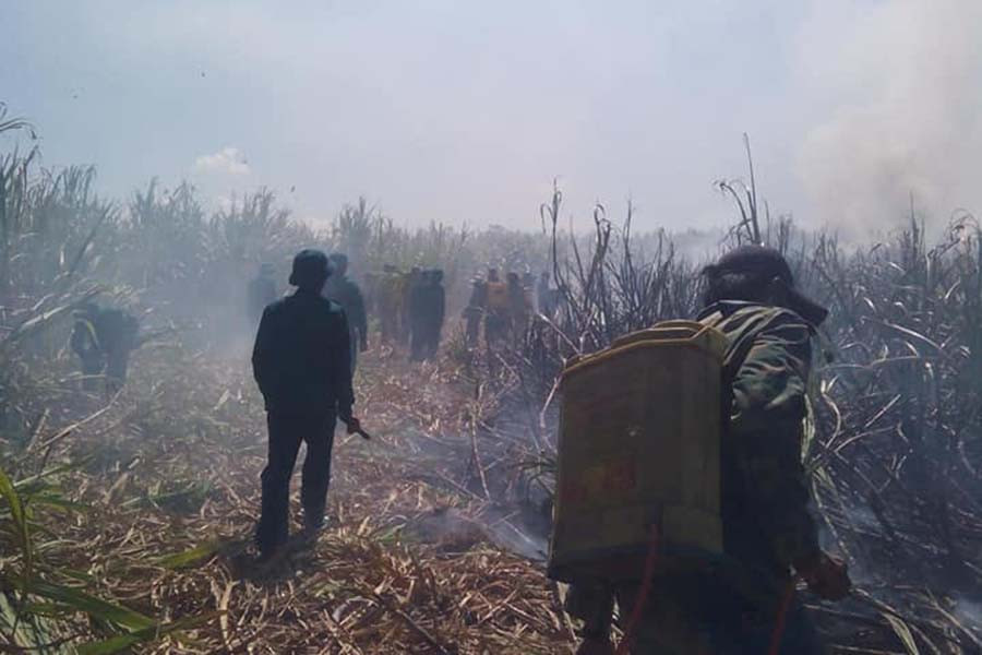  Lực lượng Dân quân thị trấn Đak pơ tham gia dập lửa. Ảnh: Nguyễn Hiền