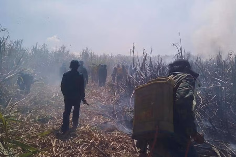 Lực lượng Dân quân thị trấn Đak Pơ tham gia dập lửa. Ảnh: Nguyễn Hiền Lực lượng Dân quân thị trấn Đak pơ tham gia dập lửa. Ảnh: Nguyễn Hiền