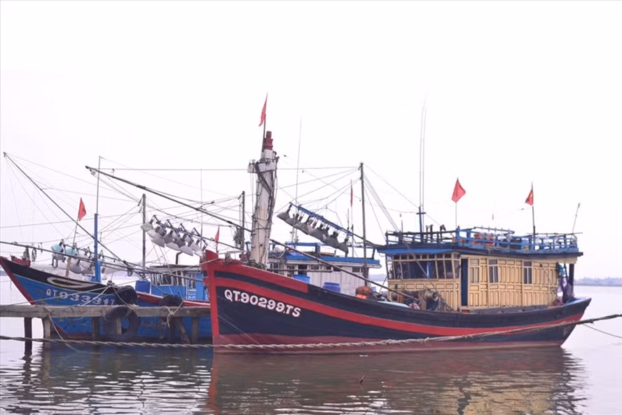 Không có lao động, không ít tàu phải cập bờ rồi nằm yên, dù vụ cá Nam đã khởi động.