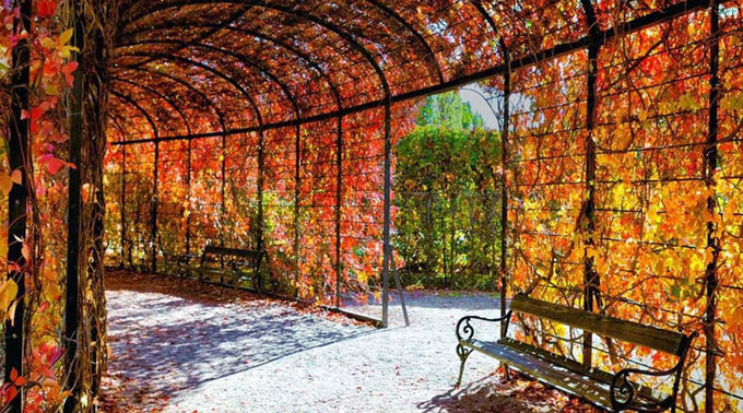 Vienna, Áo là một trong những điểm đón mùa thu đẹp nhất châu Âu, theo bình chọn của nhiều du khách. Nơi đây còn có bề dày lịch sử với rất nhiều lâu đài cổ kính, bảo tàng, văn hóa nghệ thuật và các tòa nhà cũ.