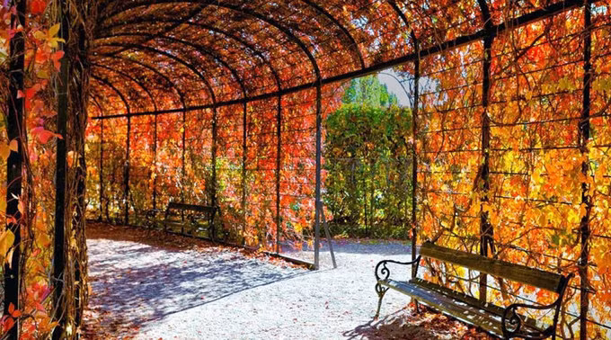 Vienna, Áo là một trong những điểm đón mùa thu đẹp nhất châu Âu, theo bình chọn của nhiều du khách. Nơi đây còn có bề dày lịch sử với rất nhiều lâu đài cổ kính, bảo tàng, văn hóa nghệ thuật và các tòa nhà cũ.