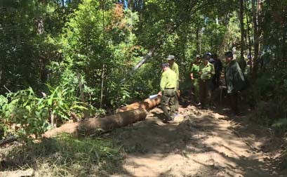 Ảnh internet Ảnh internet