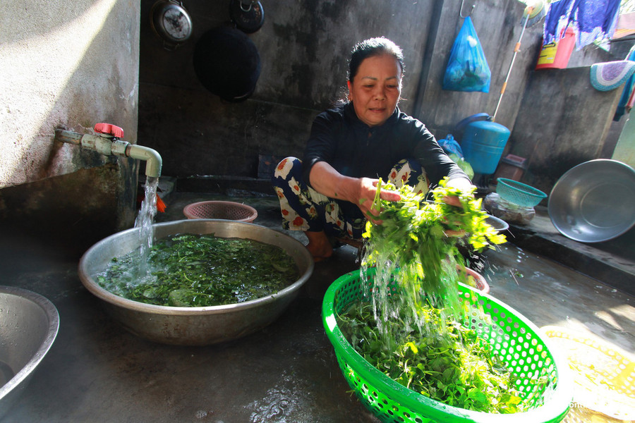 Bà Trần Thị Yến cho biết một tô mỳ ngon thì rau sống ăn kèm phải phong phú. Có không dưới 7 loại rau dùng ăn kèm mỳ Phú Chiêm. Bà Trần Thị Yến cho biết một tô mỳ ngon thì rau sống ăn kèm phải phong phú. Có không dưới 7 loại rau dùng ăn kèm mỳ Phú Chiêm.