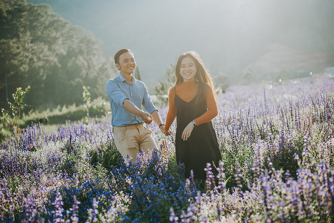  Không chỉ dân du lịch, nhiều cặp đôi cũng chọn nơi đây để lưu giữ lại những khoảnh khắc cho album ảnh cưới.