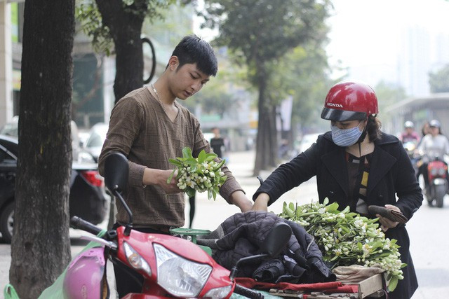 Người Hà Nội vẫn thường có thói quen mua hoa bưởi về thắp hương, nấu chè hoặc chỉ đơn giản là lưu giữ chút hương thơm tinh tế của khúc giao mùa tháng 3