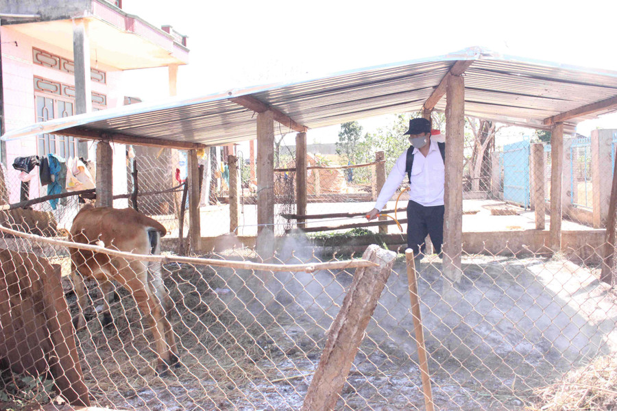 Ảnh: N.D Ảnh: N.D