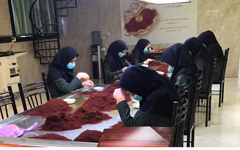  Quyết định buôn 