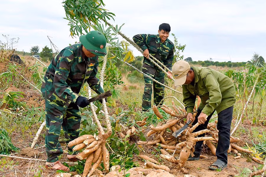 Cán bộ, chiến sĩ Đồn Biên phòng Ia Púch giúp dân lao động sản xuất. Ảnh: Bích Nga