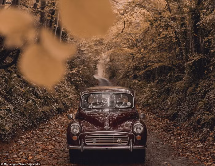 Nhiều người chờ đợi những bức hình Mona chia sẻ - Ảnh: Daily mail