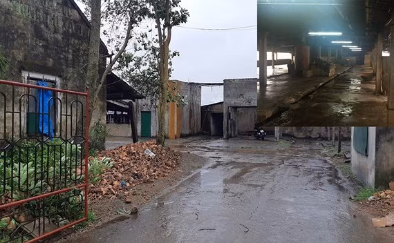  Hiện trường lò mổ, nơi xảy ra vụ án mạng