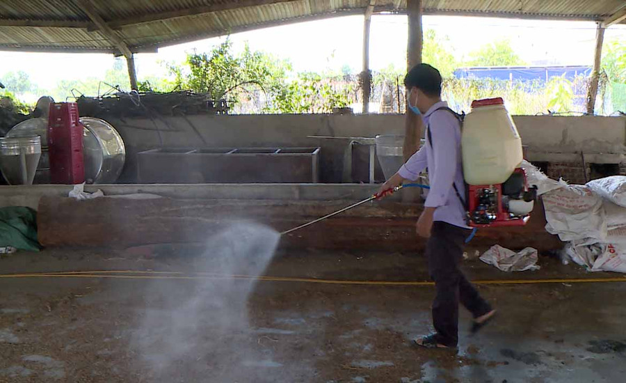 Phun hóa chất tiêu độc khử trùng ổ dịch heo châu phi. Ảnh: Đức Phương