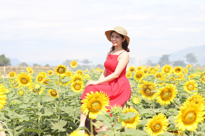 Một điểm dừng chân lý tưởng cho những người yêu thiên nhiên để thả hồn vào hoa lá, trời mây