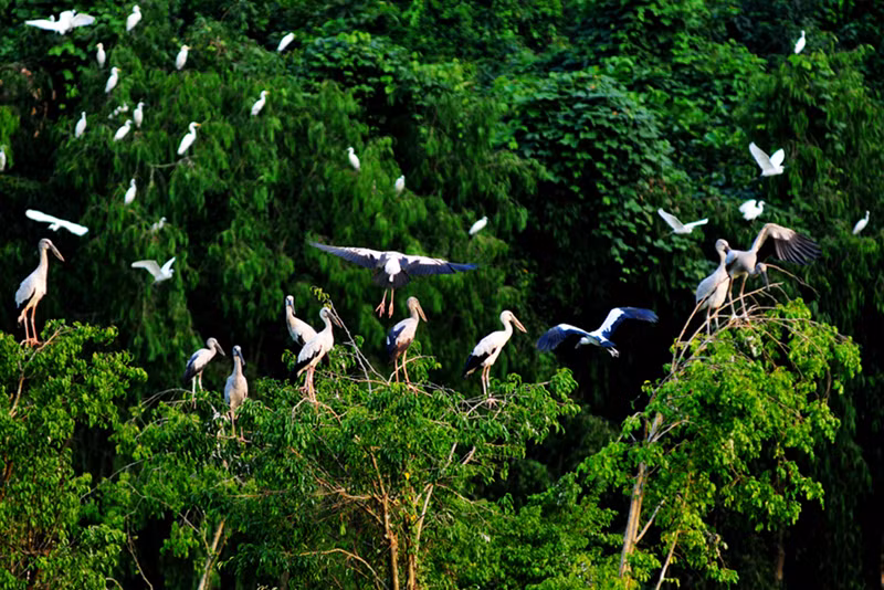 Vườn chim Thung Nham là nơi hội tụ đầy đủ các yếu tố văn hóa, tâm linh cũng như cảnh quan đa dạng sinh học, được bao quanh bởi các dải rừng nhiệt đới trên dãy núi đá vôi, với nhiều hang động và thung lũng hòa quyện với thiên nhiên cỏ cây và hoa lá. Vườn chim Thung Nham là nơi hội tụ đầy đủ các yếu tố văn hóa, tâm linh cũng như cảnh quan đa dạng sinh học, được bao quanh bởi các dải rừng nhiệt đới trên dãy núi đá vôi, với nhiều hang động và thung lũng hòa quyện với thiên nhiên cỏ cây và hoa lá.