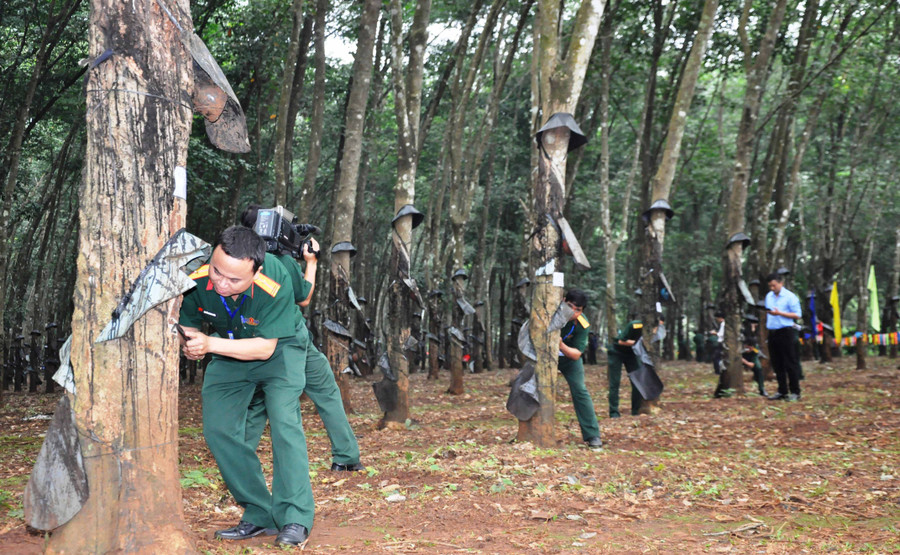 Các thí sinh tham dự phần thi thực hành. Ảnh: Vĩnh Hoàng
