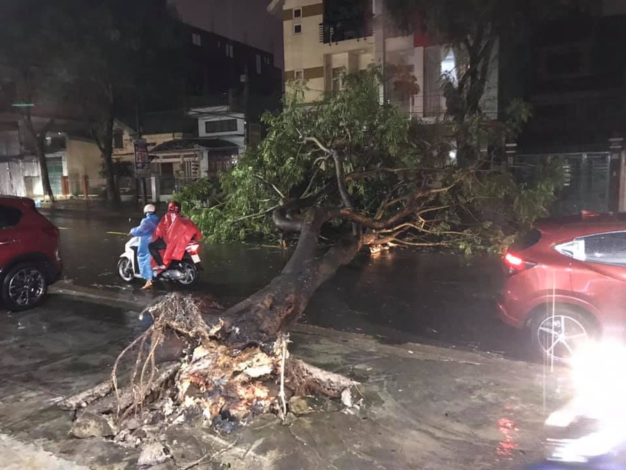 Ảnh: Nguyễn Diệp