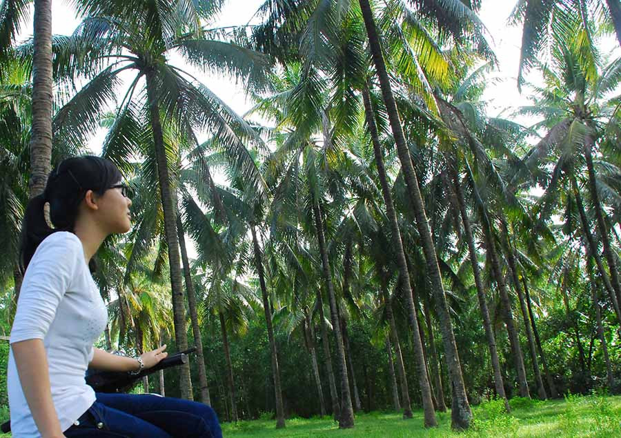  Du khách ngồi nghỉ chân dưới một vườn dừa ở Tam Quan. Ảnh: T.Đ