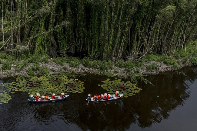 Làng nổi Tân Lập có hệ thống cây tràm rậm tạp, tạo sự kì bí khi khám phá.