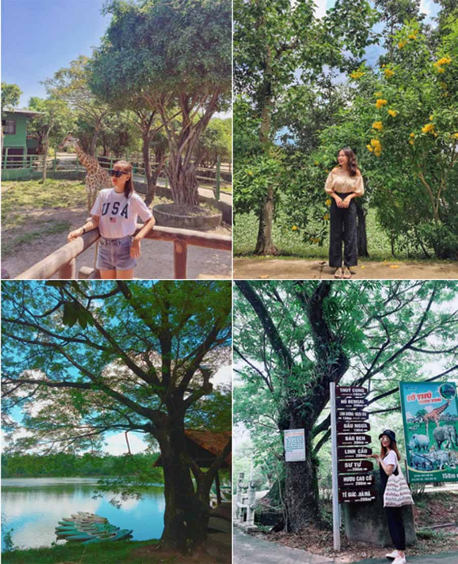 Dịp lễ này, nếu bạn không có thời gian cùng gia đình có những chuyến đi xa, có thể ghé đến khu du lịch Vườn Xoài, cách TP.HCM khoảng 2 tiếng đi xe. Đến đây, ngoài tận hưởng cảnh sắc thiên nhiên, bạn có thể tham gia nhiều trò chơi như chèo thuyền thúng, trượt cỏ, đi cầu khỉ... Ngoài ra, khu vực vườn thú cũng rất hấp dẫn du khách với nhiều loài động vật quý hiếm. Ảnh: Tranthanhbich, ddiem1011, lay.lanh, huongdom_.