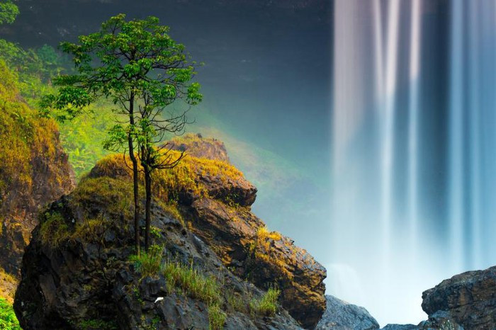 (ẢNH: NGUYỄN PHƯỚC HOÀI – BÌNH ĐỊNH)