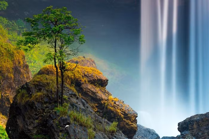 (ẢNH: NGUYỄN PHƯỚC HOÀI – BÌNH ĐỊNH)