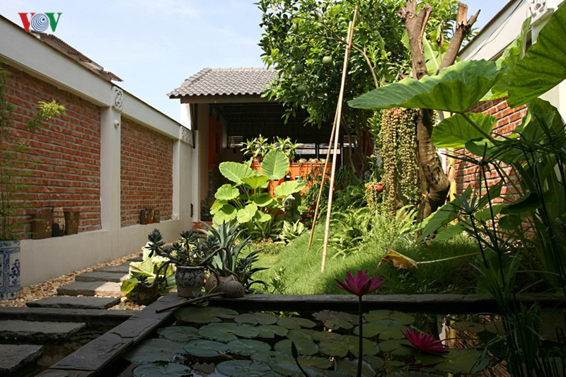 Một khu vườn trước và sau khi cải tạo Một khu vườn trước và sau khi cải tạo