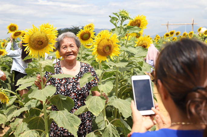  Vườn hoa không chỉ thu hút giới trẻ mà các cụ già cũng đến... check-in