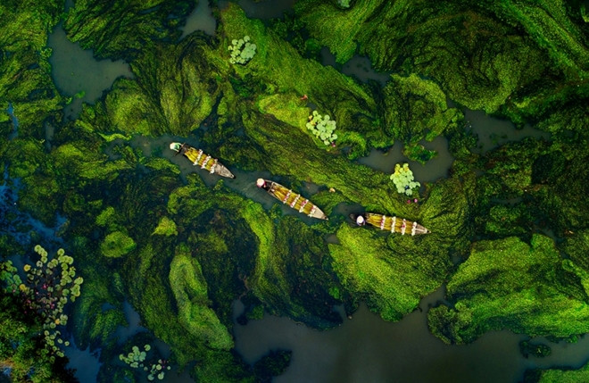 Mùa nước nổi miền Tây.