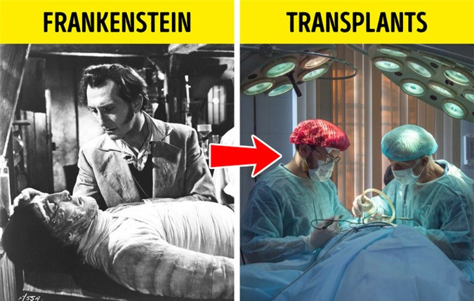 Tuy nhiên, về sau, con người đã đạt được những thành tựu trong khoa học công nghệ khiến việc cấy ghép tạng trở nên khả thi. Nhờ vậy, tính mạng của nhiều người được cứu sống nhờ những ca ghép tạng phức tạp.