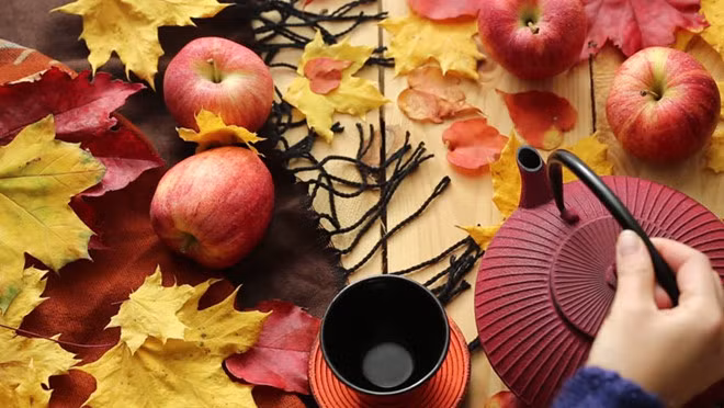 Bệnh từ miệng mà ra nhưng đồ ăn, thức uống không có tác dụng vạn năng níu kéo sức khỏe nếu lối sống thiếu điều độ- Shutterstock