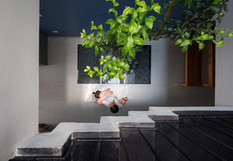 Cây xanh đảm bảo quá trình thông gió được diễn ra tự nhiên. Cây xanh đảm bảo quá trình thông gió được diễn ra tự nhiên.