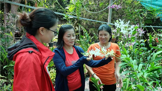  Chị Kiều Thơ (đứng giữa) hướng dẫn hội viên chăm sóc hoa lan