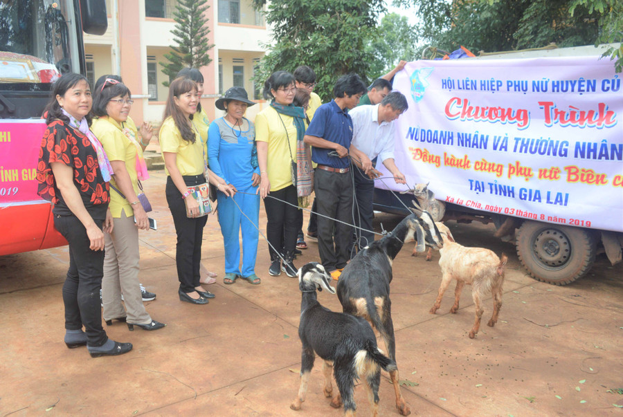Hội Liên hiệp phụ nữ huyện Củ Chi hỗ trợ 20 cặp dê giống cho hội viên nghèo. Ảnh: Đinh Yến