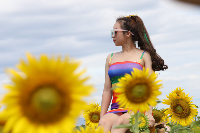 Tham quan khu vườn hoa hướng dương tuyệt đẹp này, bạn sẽ có không gian thật tươi mát, trong lành của miền thôn quê kết hợp với những bông hoa vàng rực cao vút trên cành lá xanh tươi.