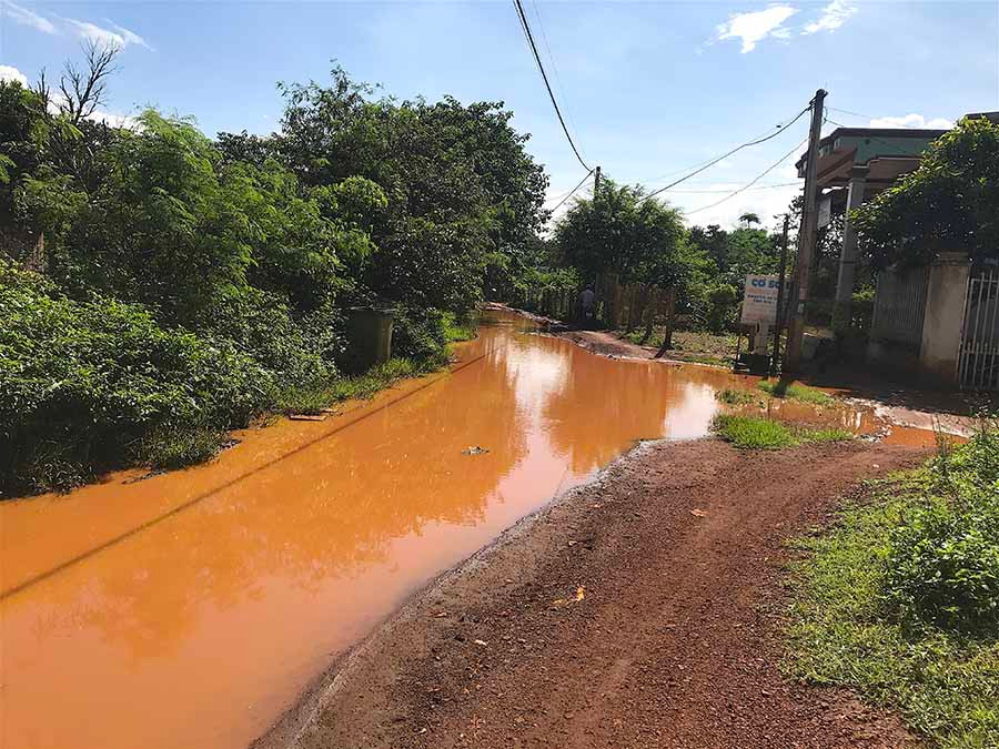 Ảnh: Mộc Trà Ảnh: Mộc Trà