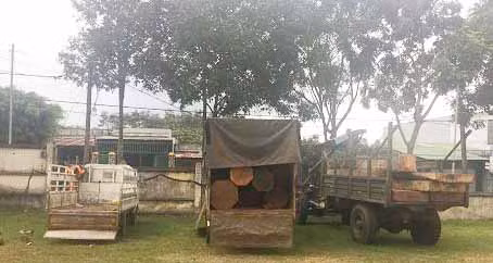 Phương tiện và tang vật tại Công an huyện Mang Yang. Ảnh: Hà Phương